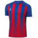 Футболка игровая JOGEL CAMP Striped Jersey, красный/синий, детский