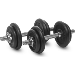 Гантели разборные Atemi 2х10 кг, цвет черный , ADS06T , гриф 2 шт,диски 2,5кгХ 4 шт, 1,5кгХ 4шт