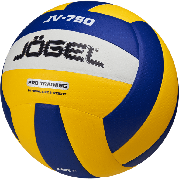 Мяч волейбольный JOGEL JV-750