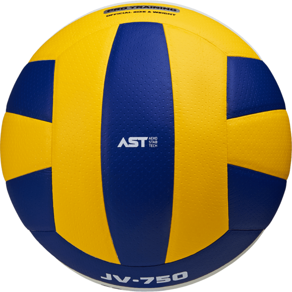 Мяч волейбольный JOGEL JV-750
