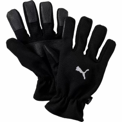 Перчатки PUMA Winter Players, 04001401-10, размер 10, черный
