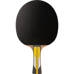 Ракетка для настольного тенниса DOUBLE FISH 6A+C, ITTF Approved, + 2 мяча