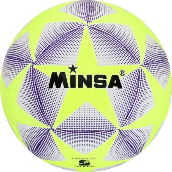 Мяч футбольный MINSA, TPU, машинная сшивка, 12 панелей, р. 5