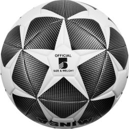 Мяч футбольный MINSA, TPU, машинная сшивка, 12 панелей, р. 5