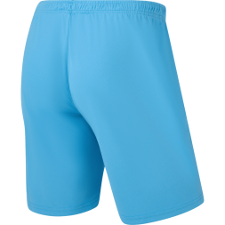 Шорты игровые JOGEL CAMP Classic Shorts, голубой, детский