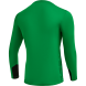 Свитер вратарский JOGEL DIVISION PerFormDRY GK Splash, зеленый