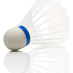 Воланы для бадминтона TORRES 80, BD23107, ПВХ, 6 шт