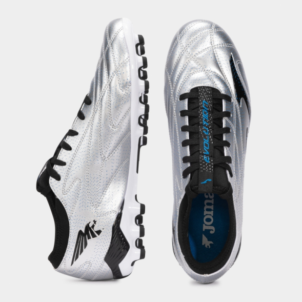 Ассортимент | EVOLUTION 2512 PLATA ARTIFICIAL GRASS