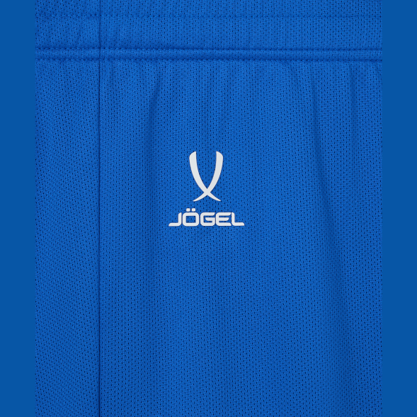 Шорты баскетбольные JÖGEL DIVISION PerFormDRY RBF 2S Shorts, синий