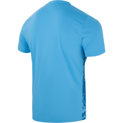 Футболка вратарская JOGEL DIVISION PerFormDRY SPLASH GK Jersey, голубой