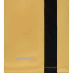 Футболка игровая JOGEL DIVISION PerFormDRY Element Jersey Y2, золотой