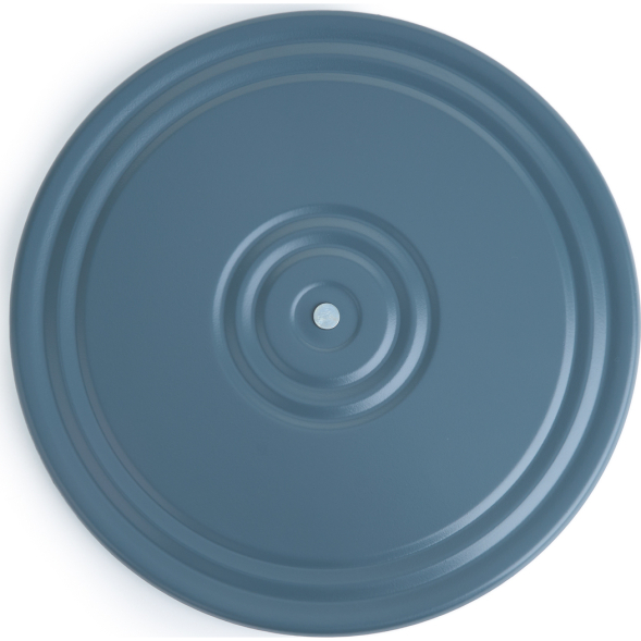 Диск здоровья многоцветный металлический, диаметр 28 см, мультиколор