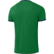 Футболка волейбольная JOGEL CAMP, зеленый