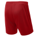 Шорты волейбольные JOGEL CAMP, красный