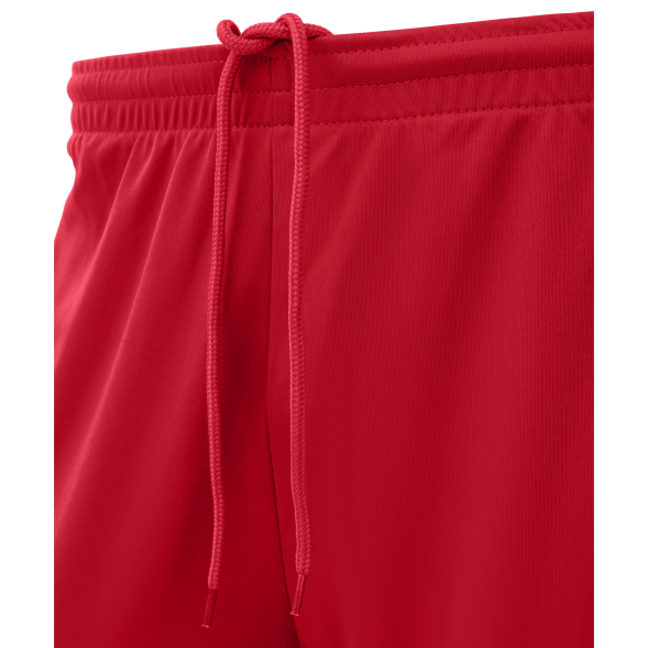 Шорты волейбольные JOGEL CAMP, красный