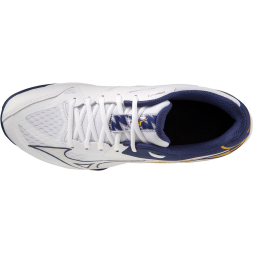 Кроссовки волейбольные мужские MIZUNO Thunder Blade Z V1GA237052, р.UK11 (рос.45), черный
