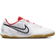 Футзалки NIKE TIEMPO LEGEND 10 ACADEMY DV4341-100