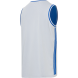 Майка двухсторонняя JOGEL DIVISION PerFormDRY Double-Side Jersey, синий/белый