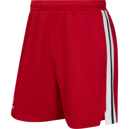 Шорты баскетбольные JOGEL DIVISION PerFormDRY Shorts R2, красный