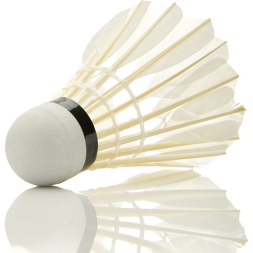 Воланы для бадминтона DOUBLE FISH JINQUE 09 перо/синтетический материал, 12 шт, Цвет: белый