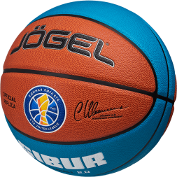 Мяч баскетбольный JOGEL Pro Training ECOBALL 2.0 Replica №5
