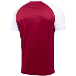 Футболка игровая JOGEL CAMP Reglan Jersey, гранатовый/белый, детский