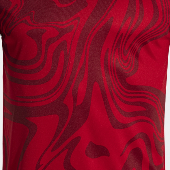 CAMISETA MANGA CORTA LION II ROJO