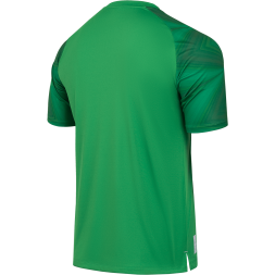 Футболка вратарская JOGEL NATIONAL PerFormDRY GK Jersey, зеленый