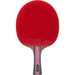 Ракетка для настольного тенниса DOUBLE FISH J8 в комплекте с чехлом