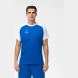 Футболка игровая JOGEL CAMP Reglan Jersey, синий/белый