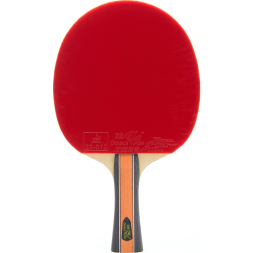 Ракетка для настольного тенниса DOUBLE FISH J9 в комплекте с чехлом
