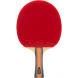 Ракетка для настольного тенниса DOUBLE FISH J9 в комплекте с чехлом