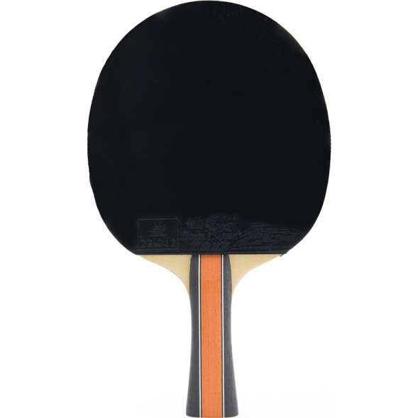 Ракетка для настольного тенниса DOUBLE FISH J9 в комплекте с чехлом