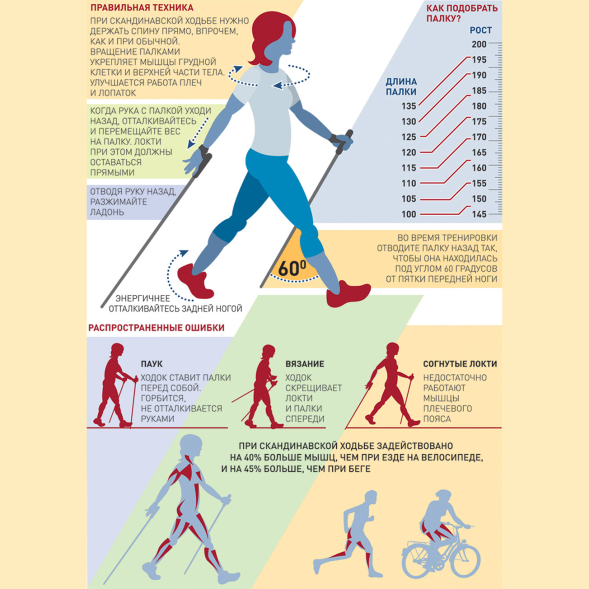 Палки для скандинавской ходьбы Ergo-50 Е-0674, длина 110-140см.