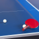 Стол для настольного тенниса DOUBLE FISH 203M-3, Indoor для закрытых помещений